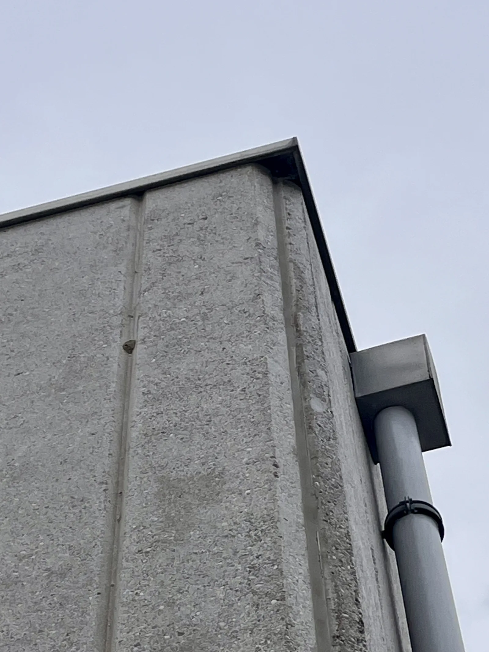 Nid signalé à Satigny